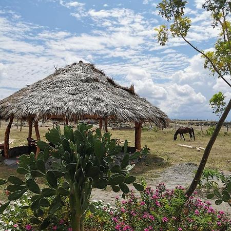 Pachingo Tatacoa Desert La Victoria  المظهر الخارجي الصورة