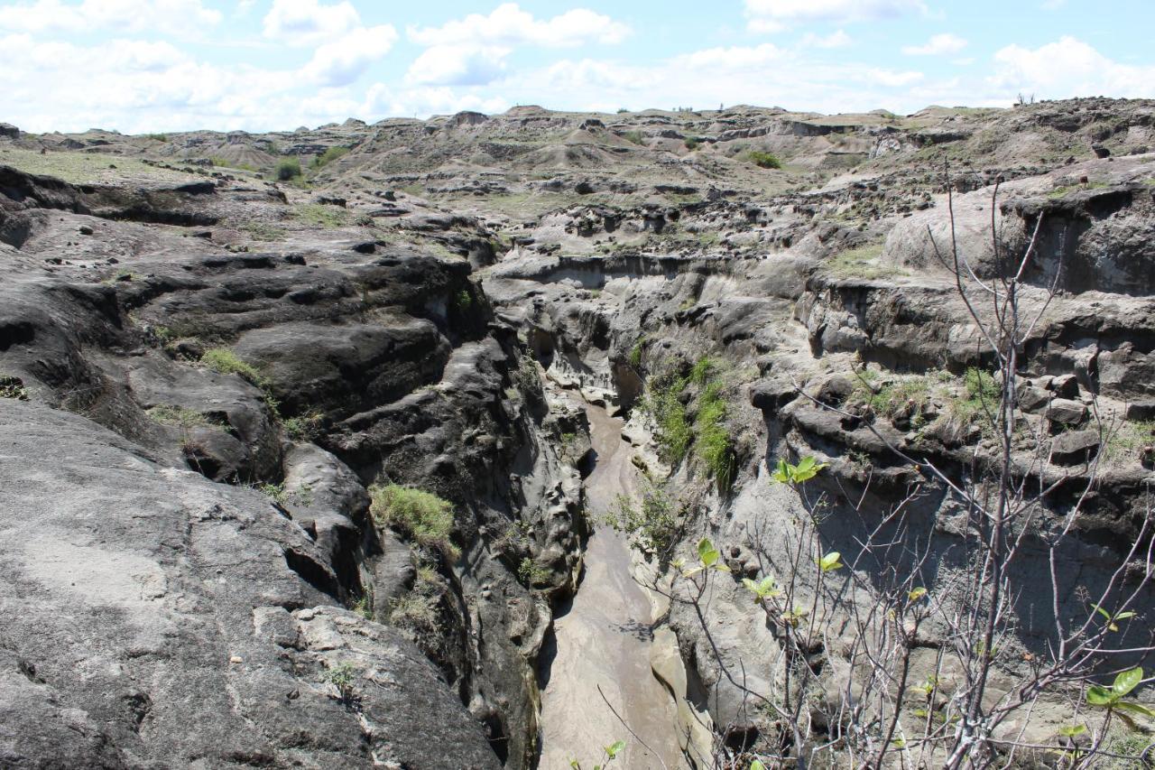 Pachingo Tatacoa Desert La Victoria  المظهر الخارجي الصورة