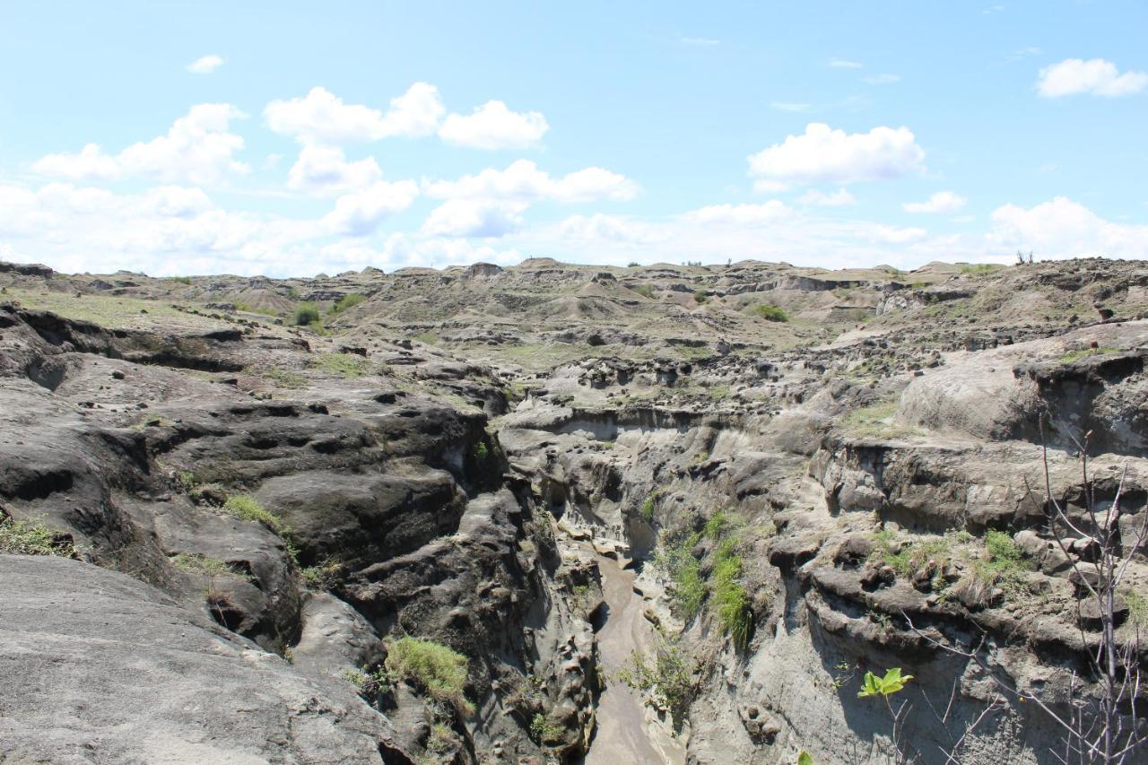 Pachingo Tatacoa Desert La Victoria  المظهر الخارجي الصورة