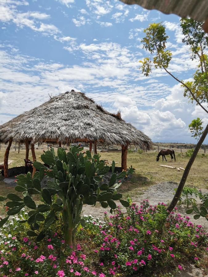 Pachingo Tatacoa Desert La Victoria  المظهر الخارجي الصورة
